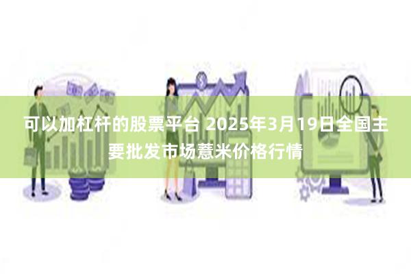 可以加杠杆的股票平台 2025年3月19日全国主要批发市场薏米价格行情