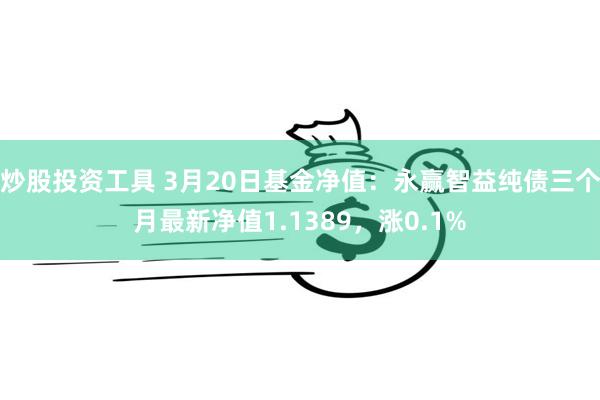 炒股投资工具 3月20日基金净值：永赢智益纯债三个月最新净值1.1389，涨0.1%
