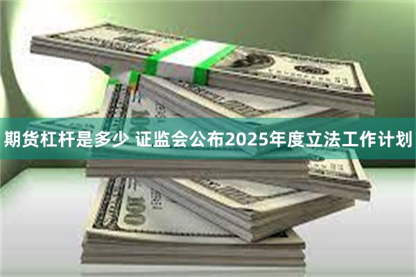 期货杠杆是多少 证监会公布2025年度立法工作计划
