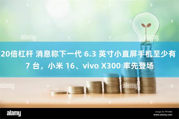 20倍杠杆 消息称下一代 6.3 英寸小直屏手机至少有 7 台，小米 16、vivo X300 率先登场