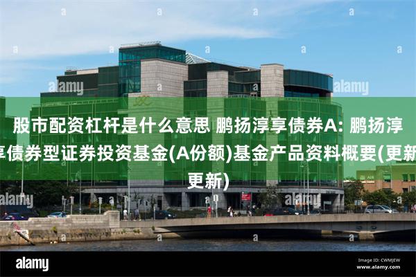 股市配资杠杆是什么意思 鹏扬淳享债券A: 鹏扬淳享债券型证券投资基金(A份额)基金产品资料概要(更新)