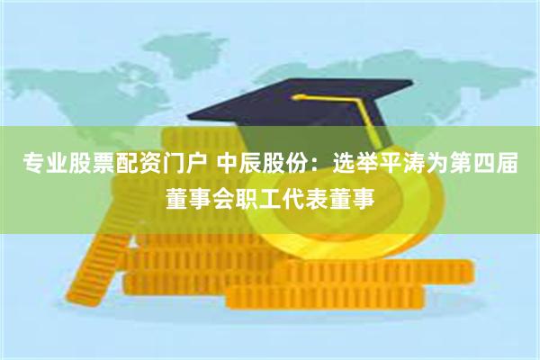 专业股票配资门户 中辰股份：选举平涛为第四届董事会职工代表董事