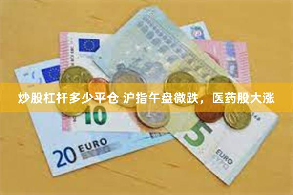 炒股杠杆多少平仓 沪指午盘微跌，医药股大涨