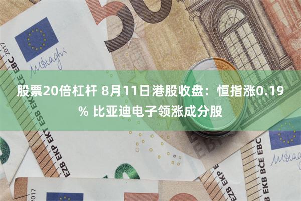 股票20倍杠杆 8月11日港股收盘：恒指涨0.19% 比亚迪电子领涨成分股